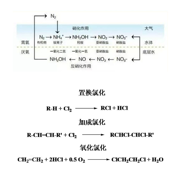 硝化和氯化.jpg